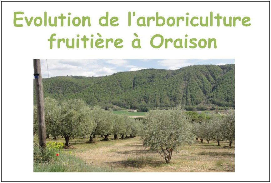 Teledec_Arboriculture_Oraison